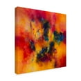 thumbnail image 2 of Trademark Fine Art 'Joy Spreads Pass It On' Canvas Art by Aleta Pippin, 2 of 3