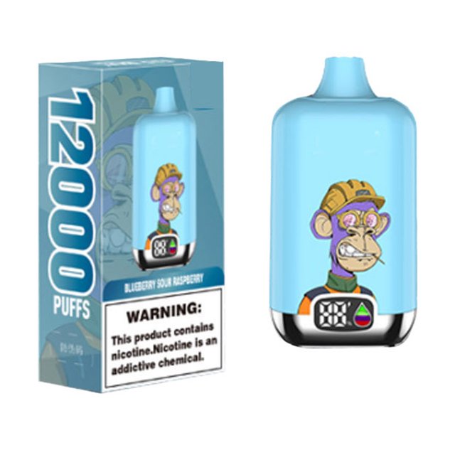 Numérique 12000 Puff Rechargeable Jetable avec Affichage LED Type C Batterie 500mAh Capacité 25ml E Liquide