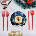 thumbnail image 6 of Christmas Party Tableware Set, 10PCS Christmas Plates and Napkins, Snowflakes Disposable Dinnerware Set Xmas Holiday Party Supplies, 6 of 6
