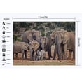 thumbnail image 2 of ABPHOTO Polyester 7x5ft Elephant Backdrop Nature Landscape Jungle Forest Backdrops Happy Mother's Day Sweet Love Photography Background for Boys Kids Thanks Mum Party Photo Studio Props, 2 of 3
