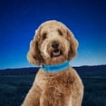 thumbnail image 6 of Nite Ize NiteDog Rechargeable LED Collar, USB Rechargeable Light Up Dog Collar w/Metal Buckle, Water Resistant, Blue, 6 of 8