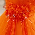 thumbnail image 5 of IDOPIP Baby Toddler Flower Girl Dress Lace Tulle Birthday Pageant Gown 1-5 Years 3D Flowers Formal Dress Toddler Wedding Guest Dress Baby Girl First Birthday Party Princess Baptism Dresses, 5 of 8