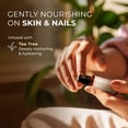thumbnail image 6 of Gya Labs Tea Tree Essential Oil Roll On for Breakouts & Skin Care (0.34 fl oz), 6 of 6