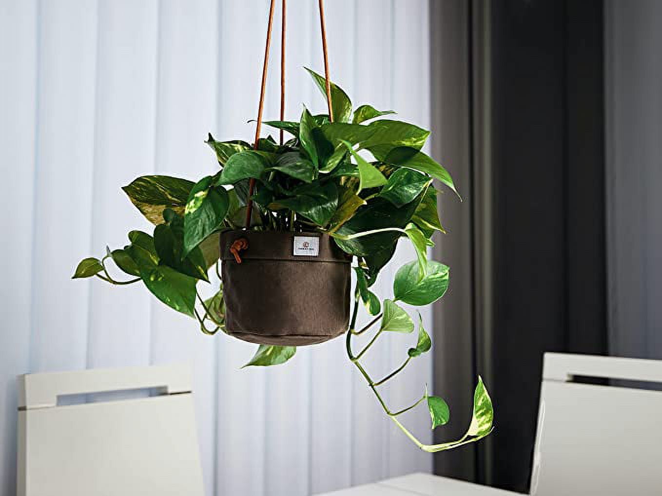 Concept Casa Small 5" Solid Print Hanging Planter with Handmade Waxed Canvas (Charcoal Gray)