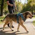 thumbnail image 4 of No-Pull Dog Harness with Front Handle, Reflective Breathable Mesh Vest, Adjustable Escape Proof Harness for Small Medium Dogs 28-45 lbs for Walking Training, 4 of 6