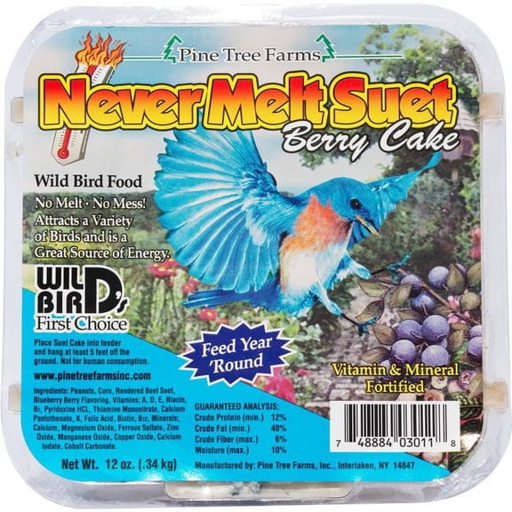 Pine Tree Farms 3011 Berry Never Melt Suet Dough, 12 Ounce
