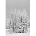 thumbnail image 2 of Deiter, Lori 23x32 White Modern Wood Framed Museum Art Print Titled - Snowy Lava Mountain, 2 of 4