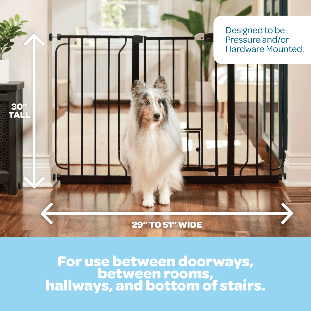 Carlson 51” Walk-Thru Pet Gate with Small Pet Door, All-Metal Frame, 30” H x 29.5”-51” W, Black
