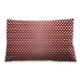 thumbnail image 1 of Ahgly Company Outdoor Rectangular Contemporary Lumbar Throw Pillow, 13 inch by 19 inch, 1 of 5