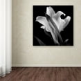 thumbnail image 4 of 24x24 Gallery Wrapped Canvas Art, 4 of 4