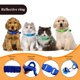 thumbnail image 3 of Collar para mascotas NQ colorido DE identificación con cascabel reflectante súper suave ajustable para perros, 3 of 3