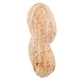 thumbnail image 3 of Hampton Farms 25 lb. Roasted Salted In-Shell Peanuts, 3 of 4