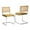 Gold, variant on IVV Set of 2 Mid-Century Modern Velvet Dining Chairs with Rattan Cane Back, Accent Armless Side Chairs with Chrome Cantilever Frame, Gold Velvet Seat