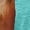 B-Mint Green, variant on Womens Plus Size Tank Tops Summer Sleeveless Scoop Neck T-Shirts Tops Loose Fit Casual Tees Tunics Shirts L-5X B-Mint Green