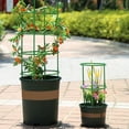 thumbnail image 3 of Primegos Climbing Trellis Tomato Cages Reusable Plant Support Holder Adjustable Plant Trellis Frame Stackable Pergola Accessories for Climbing Plants Flowers Vines, 3 of 8