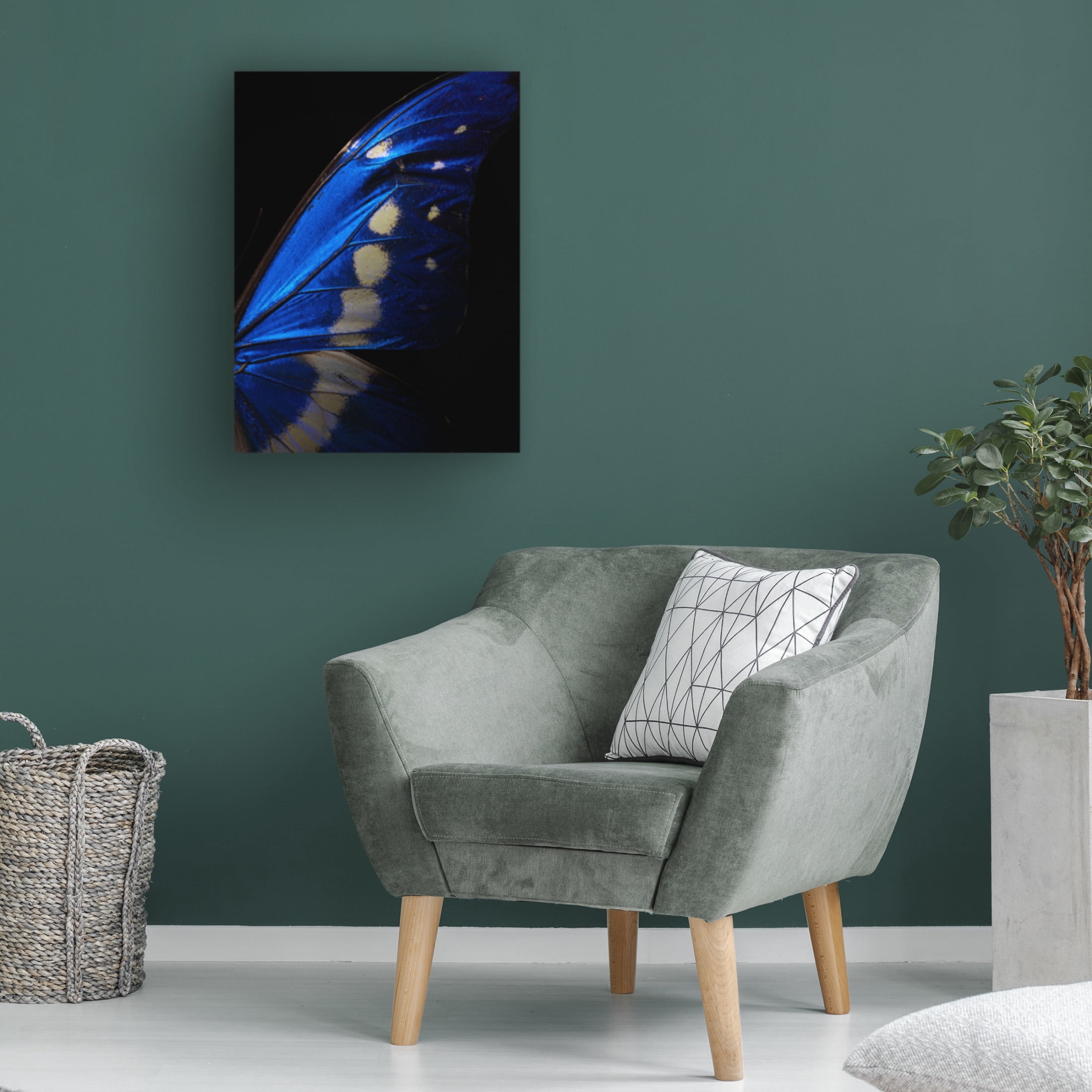 Trademark Fine Art Shiro Miyake Morpho Canvas Wall Art