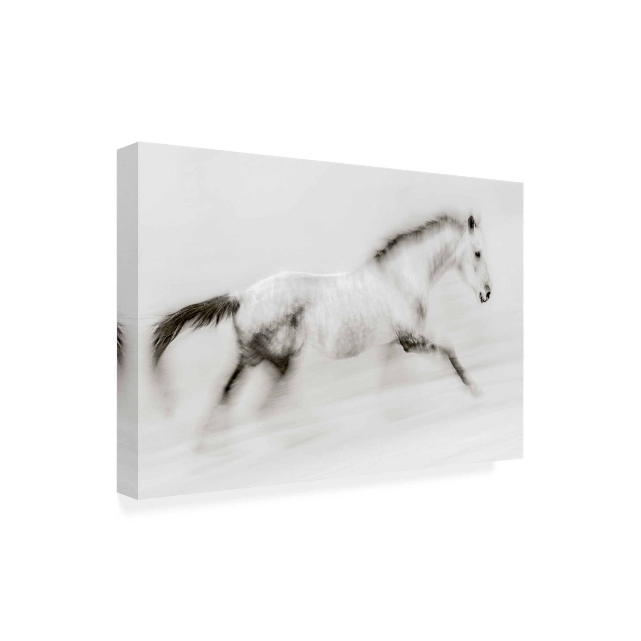 Canvas Wall Art - Martine Benezech 'The Unique Brush Stroke' Wall Art for Living Room, Bedroom, or Office D?cor by Trademark Fine Art - 47 x 30 Inches
