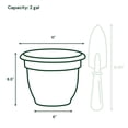 thumbnail image 4 of Bloem Ariana 10" Self-Watering Plastic Planter - Rolled Rim Indoor/Outdoor Garden Pot, Basil, 4-Pack, 4 of 8