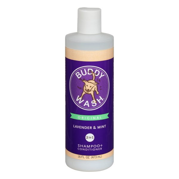 buddy wash shampoo