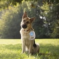 thumbnail image 4 of Automatic Retractable Dog Leash with Explosion Proof Design for Safe and Comfortable Pet Walking, 4 of 5