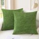 thumbnail image 1 of Chenchen Throw Pillow Covers Decorative 20 X 20 Inches Pack of 2 Cozy Chenille Cushion Cases for Couch Sofa Bed Living Room Home Forest Green, 1 of 1