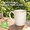 White-17 Ounces, variant on Ceramic Coffee Mug Set Of 4 17 Oz Cups With Big Handlewave Safe Reactive Glaze (lake Green 17 Oz)