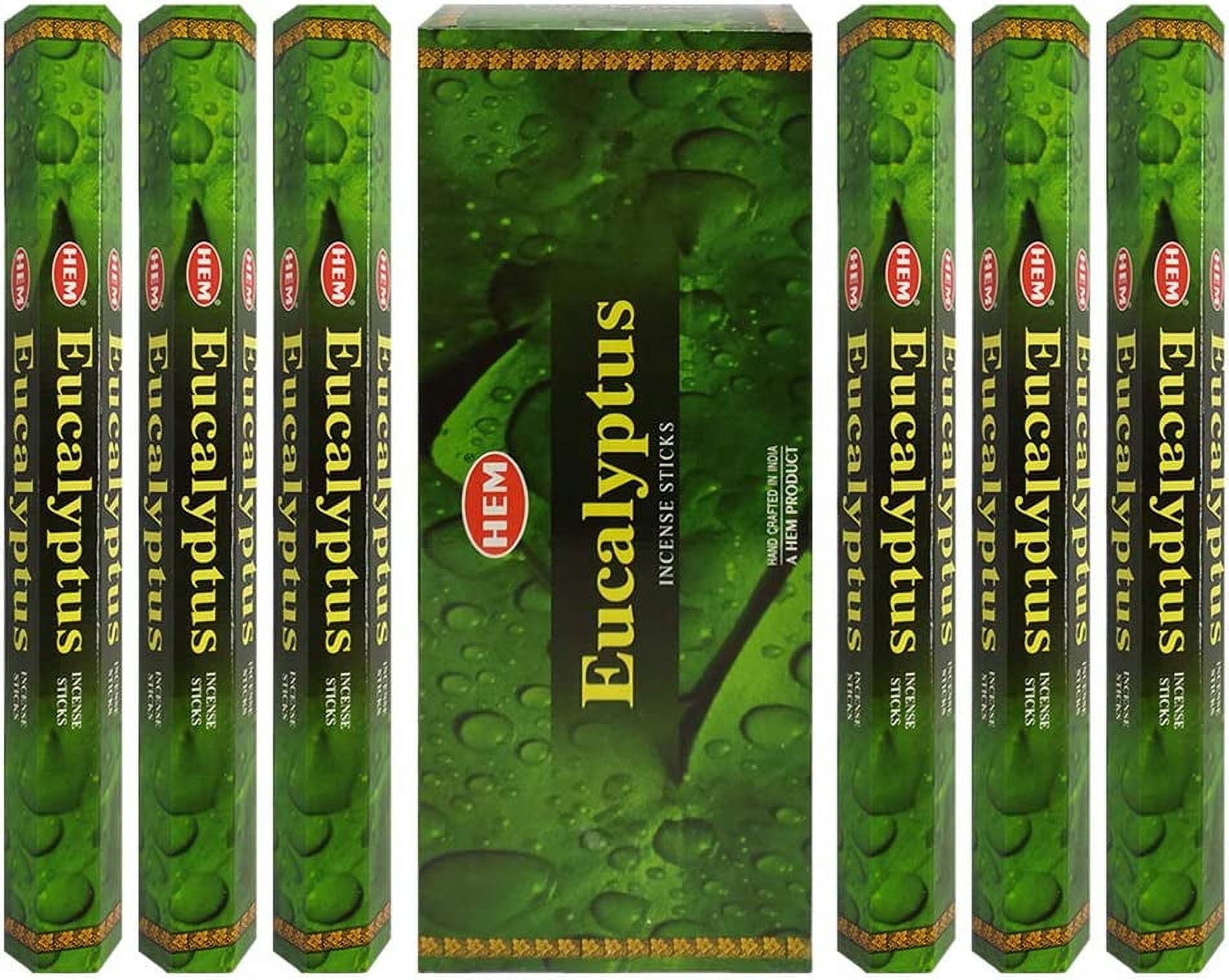 Eucalyptus Incense Sticks and Incense Stick Holder Bundle Insence Insense Hem Incense Sticks
