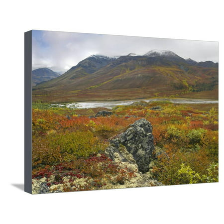 Dear Dry Stream Through the Ogilvie Mountains, Yukon Territories, Canada Stretched Canvas Print Wall Art By Tim