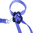 thumbnail image 4 of Bird Harness Leash Creative Nylon Adjustable Parrot Harness Leash Bird Supplies, 4 of 8