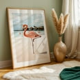 thumbnail image 6 of Pink Flamingo - Aruba Photography Flamingo Tropical Beach Wildlife Seaside Bird Summer Unframed Wall Art Print 24 x 36 inches, 6 of 60
