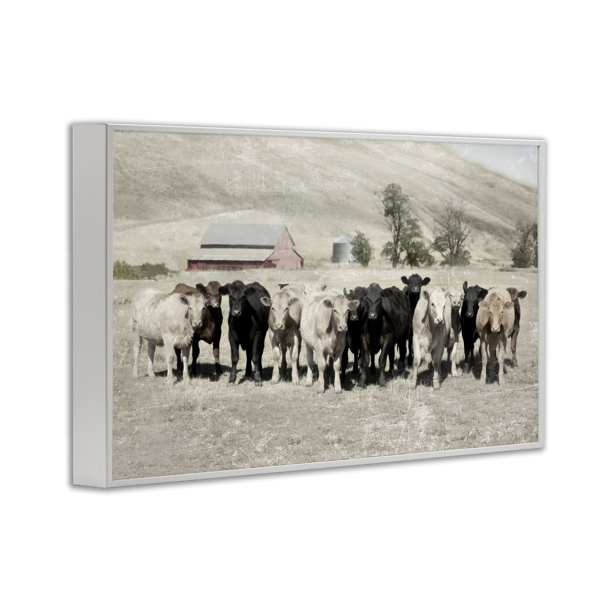 Stupell Industries Varied Cattle on Farm Landscape Painting White Framed Art Print Wall Art, 24 x 16