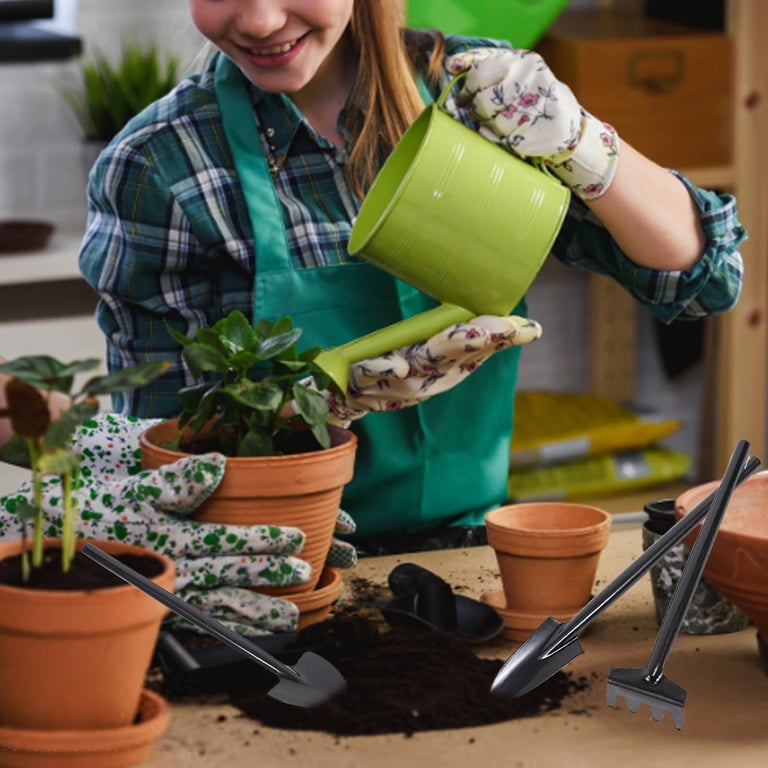 3-Piece Mini Gardening Tool Set - Small Shovel, Rake & Trowel For Succulents, Cactus & Potted Plants