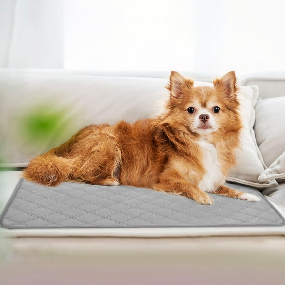 unbranded 2Ud Protectores Para Perros Color Con Absorbente Cómoda Y Base Antideslizante
