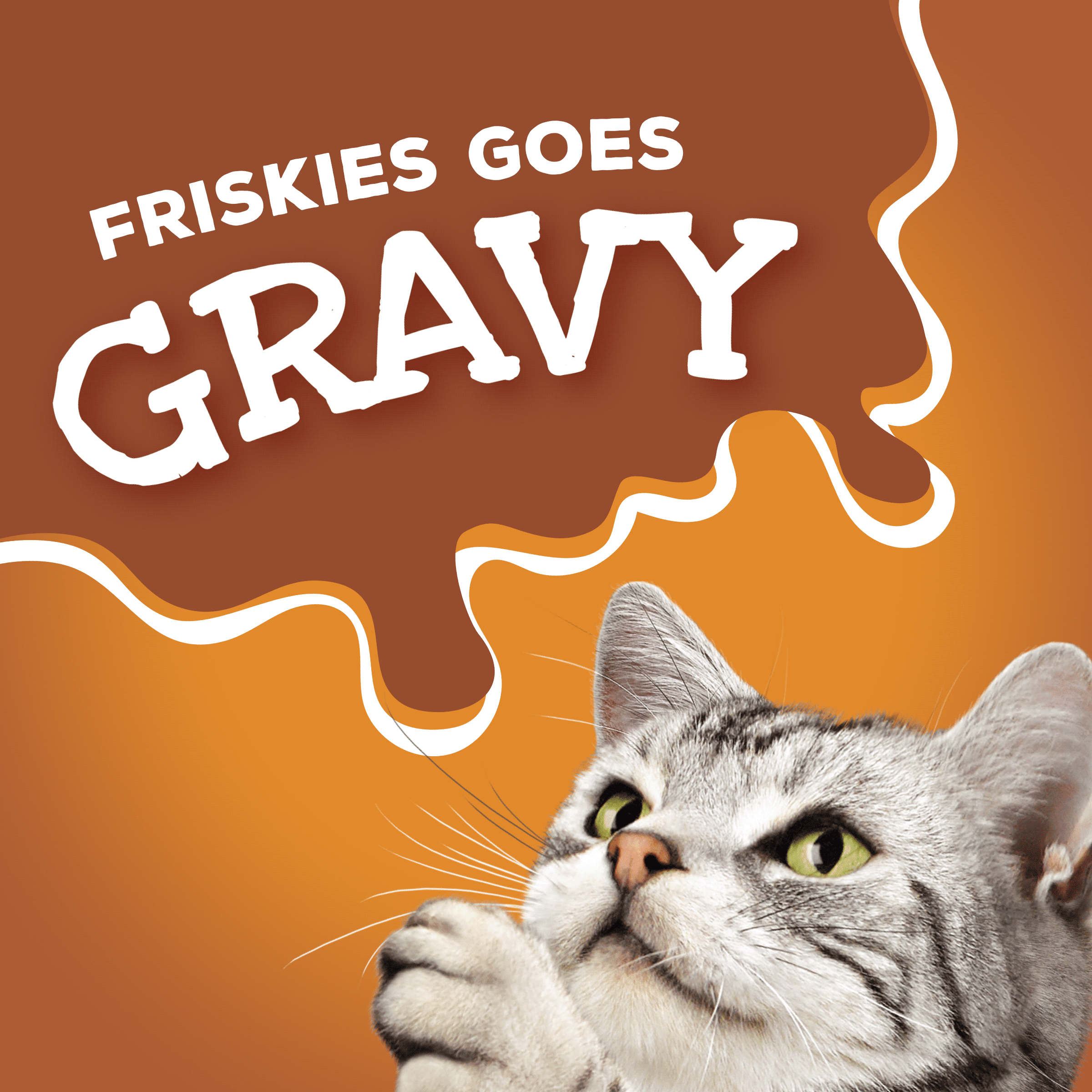 friskies extra gravy pate cat food