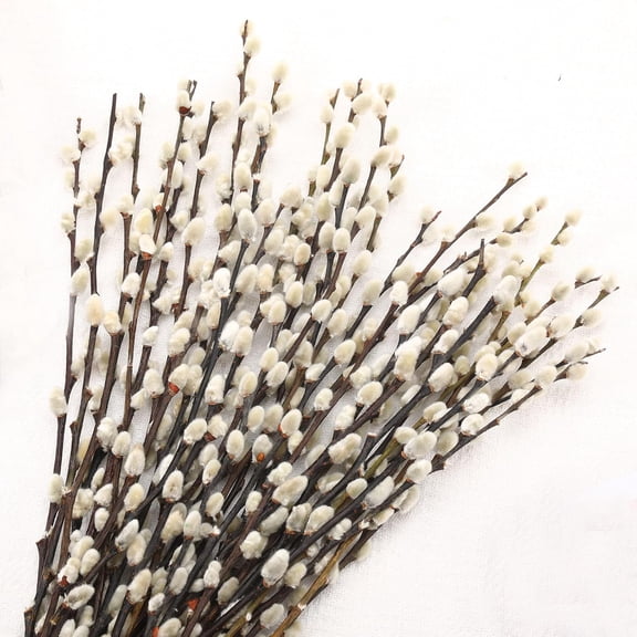 Natural Preserved Dried PussyWillow Branches for Vases, 25 Stems Real Willows, 17" Snow Pussywillows, Flowers Indoor and Outdoor Decor, Wedding Home DIY Floral Art Plants Fireplace