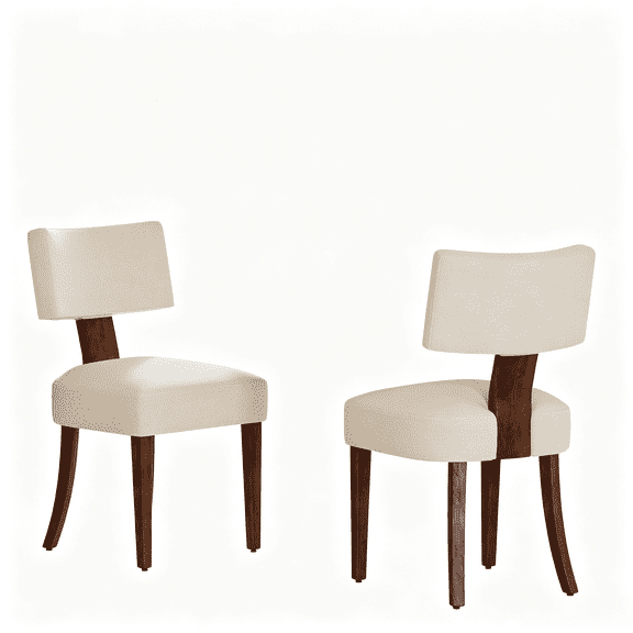 Set of 2 Mid Century Modern Dining Chairs - Removable Seat Covers for Kitchen Dining Room, Style 8