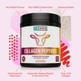thumbnail image 4 of Zhou Collagen Peptides Hydrolyzed Protein Powder | Grass Fed, Pasture Raised | Unflavored, Hormone-Free, Non-GMO |18 Ounce, 4 of 5