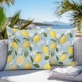 thumbnail image 4 of Yellow Lemon White Flowers Outdoor Pillow Covers Pack of 2 Retro Blue Backdrop Waterproof Throw Pillow Covers Decorative Cushion Cases for Patio Garden Tent Balcony Couch 26x26 inch, 4 of 8