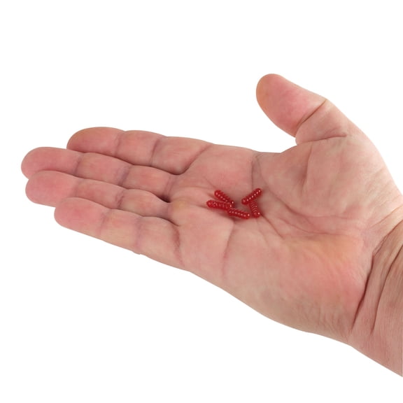 Berkley PowerBait® Power Wigglers®, Worms, Red Wiggler (75 Count)