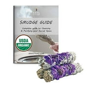 3 Pack of White Sage & Purple Daisies Smudge Sticks & Smudge Guide for Smudging, Cleansing, Meditation, Purification (Floral Sages, Purple Daze Sage)