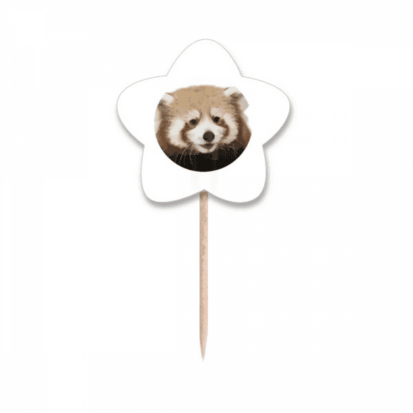 Brown Jungle Civet Cats Lovely Little Toothpick Flags Star Lable Cupcake Picks