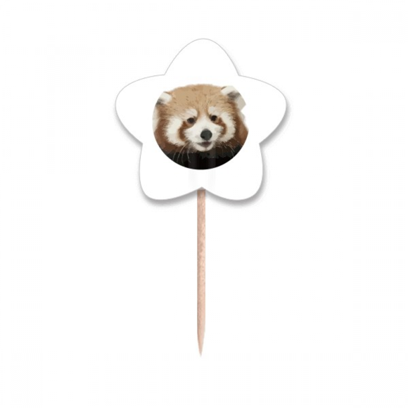 Brown Jungle Civet Cats Lovely Little Toothpick Flags Star Lable Cupcake Picks