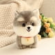 thumbnail image 1 of Juguetes de piscina, juguetes para bebés y niños pequeños. Cachorro de peluche de juguete, adorable mascota, suave y tierna. Ideal para regalar a parejas, niños, familiares y amigos., 1 of 6