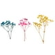 thumbnail image 1 of Flores secas naturales para ramos, accesorios, flores artificiales para el hogar o fiesta. Multi, 1 of 9