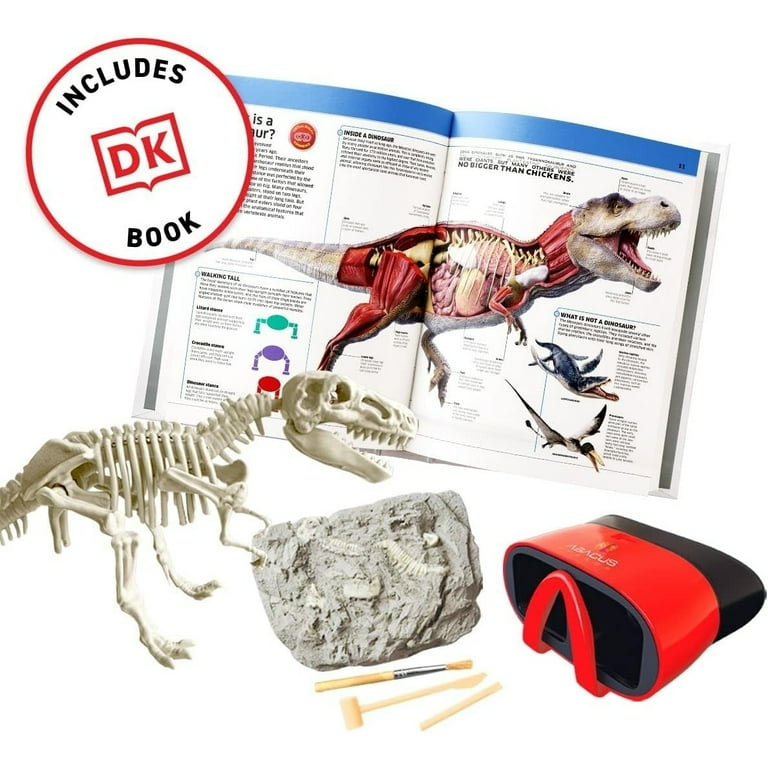 Abacus Brands Dino Dig Interactive Learning Science Kit for Kids