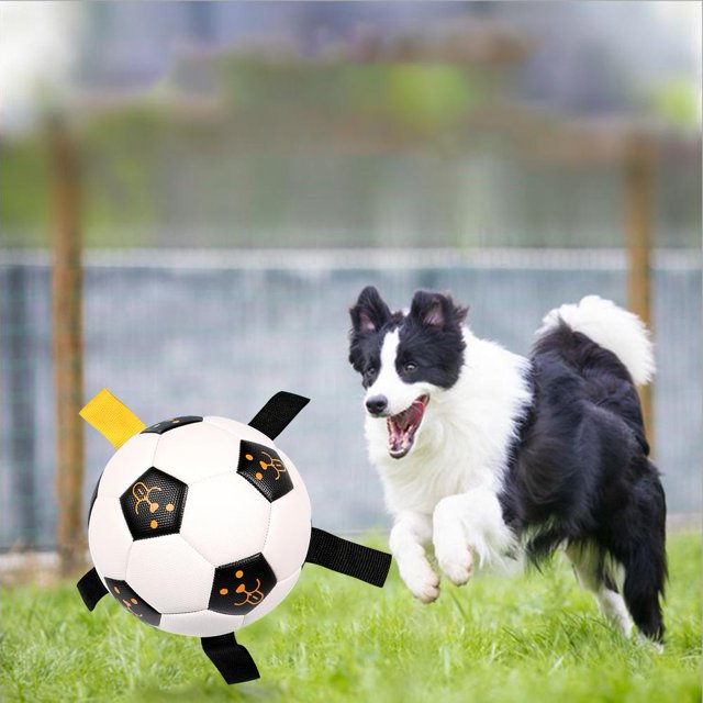 Perro de goma Juguetes de fútbol Cachorro Masticar Mascotas Interactivo Pelotas de juego al aire libre