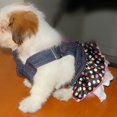 thumbnail image 4 of Ropa de Princesa para Perros Salvador Vestido vaquero para perro mascota, 4 of 9