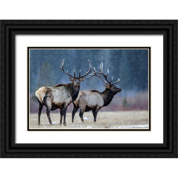 Verdon 24x17 Black Ornate Wood Framed with Double Matting Museum Art Print Titled - First snow