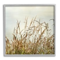 Stupell Industries Ocean Reeds Photography Landscape Photography Gray Framed Art Print Wall Art, 17 x 17