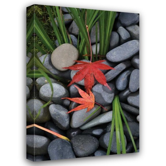 Brian Moore 13x18 Gallery Wrapped Canvas Wall Art Titled - Maple Leaves I